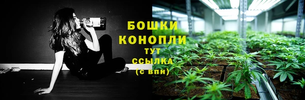 твердый Арсеньев