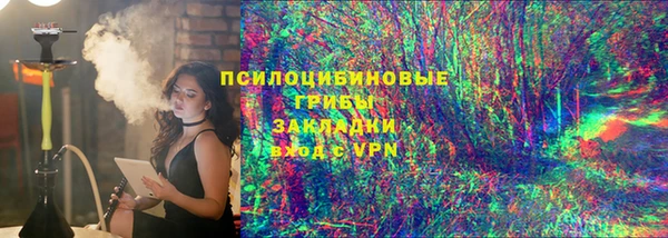 твердый Арсеньев