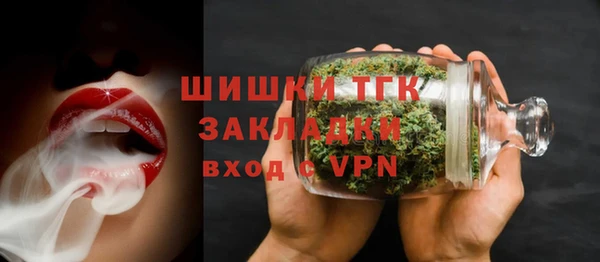 гашик Аркадак