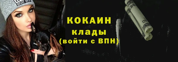 гашик Аркадак