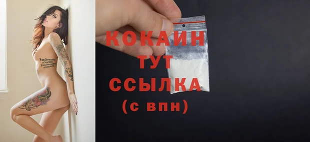 твердый Арсеньев