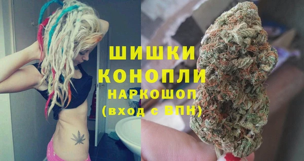 гашик Аркадак