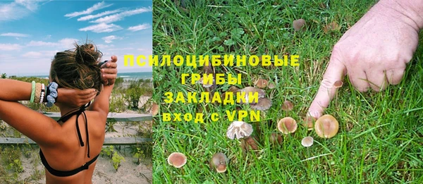 твердый Арсеньев