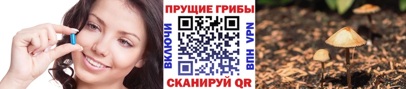 купить   МЕГА рабочий сайт  Псилоцибиновые грибы Cubensis  Тогучин 